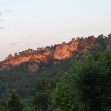 L' Oree Du Val Sillans-la Cascade Dış mekan fotoğraf